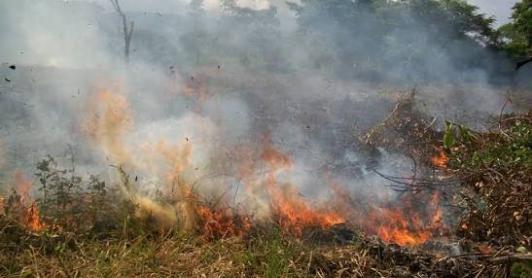 UNGRD activa plan nacional para combatir incendios forestales en 18 departamentos