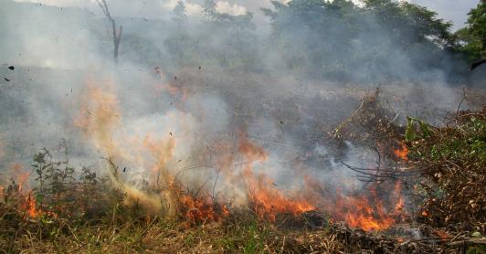 IDEAM declara fenómeno de El Niño en Colombia