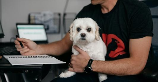 ¿Puede llevar a su perro o gato al trabajo? Estas son las reglas que Colombia está por definir