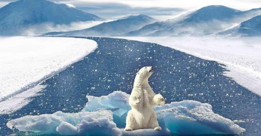 2021-crucial-para-el-cambio-climatico.jpg