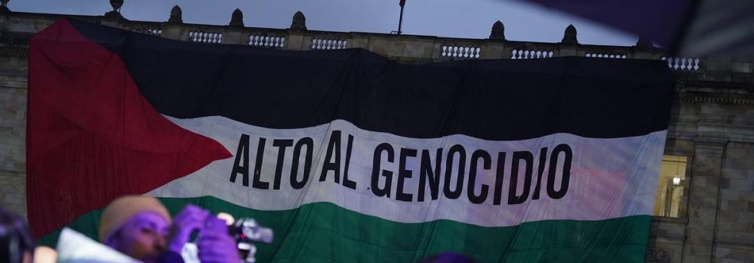 Bandera de Palestina en el Congreso