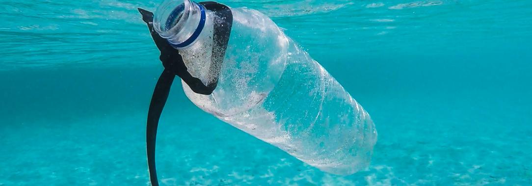 Adiós a los plásticos de un solo uso: conoce algunas alternativas amigables con el planeta