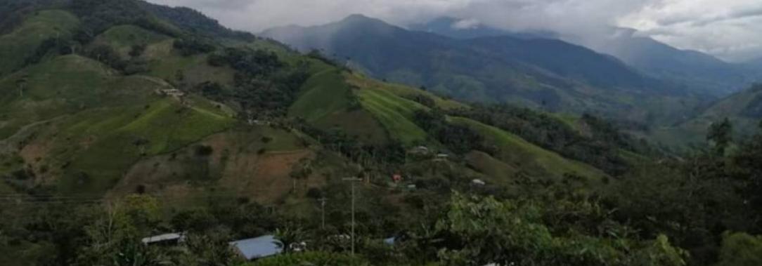 Cauca-enfrentamientos-disidencias-Ejercito.jpg