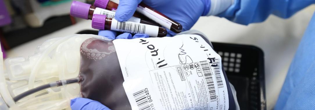 Donacion-sangre-medellin.jpg