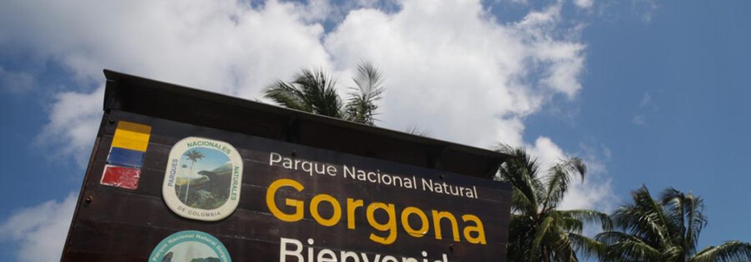 Isla-Gorgona.jpg