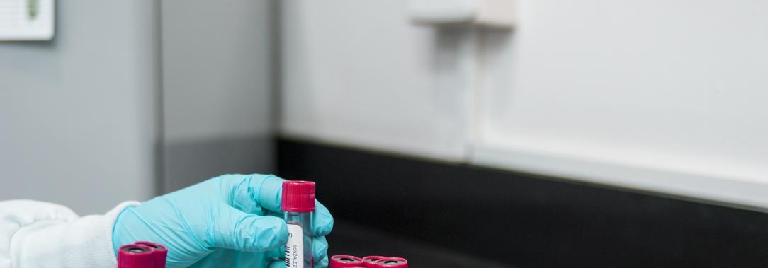 Laboratorio.jpg