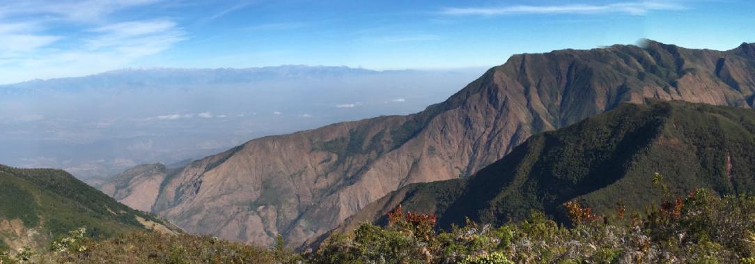 Serrania-del-perija-segundo-dinosaurio-descubirto-en-Colombia.jpg