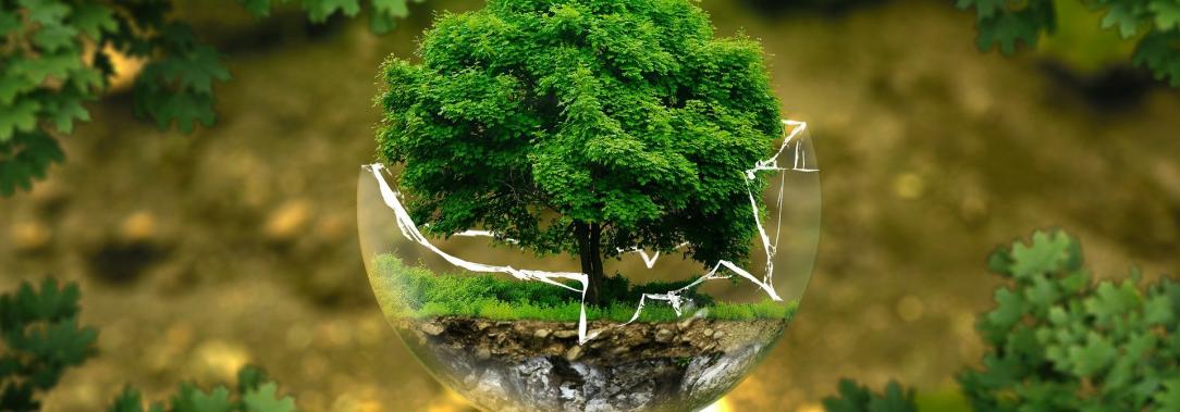 cursos-gratuitos-medio-ambiente.jpg