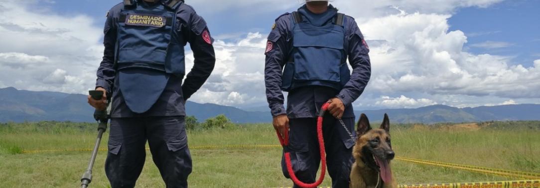 desminado-humanitario.jpg