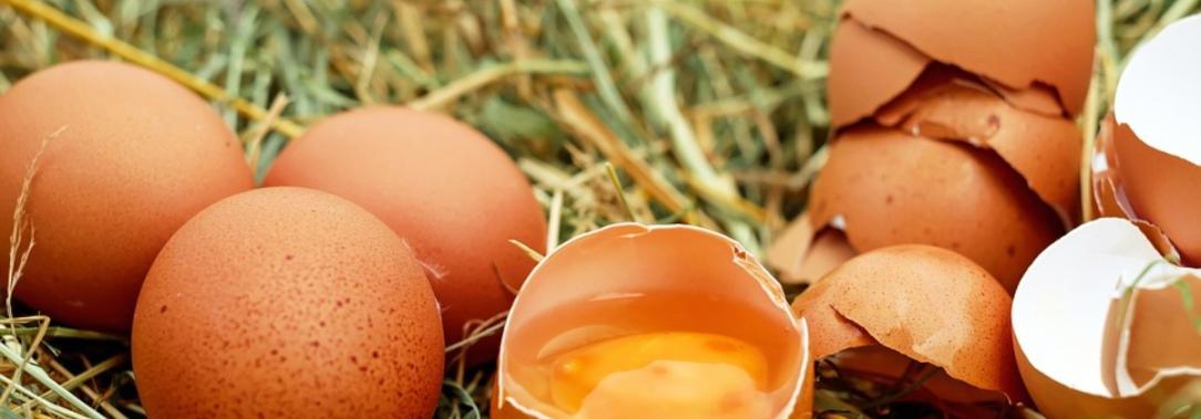 dia-mundial-del-huevo-caracteriscas.jpg