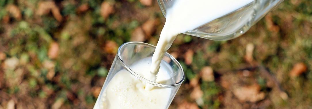 leche-Antioquia.jpg