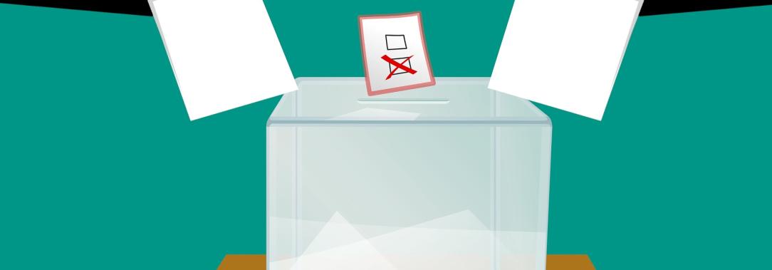 votar-elecciones-2022.jpg
