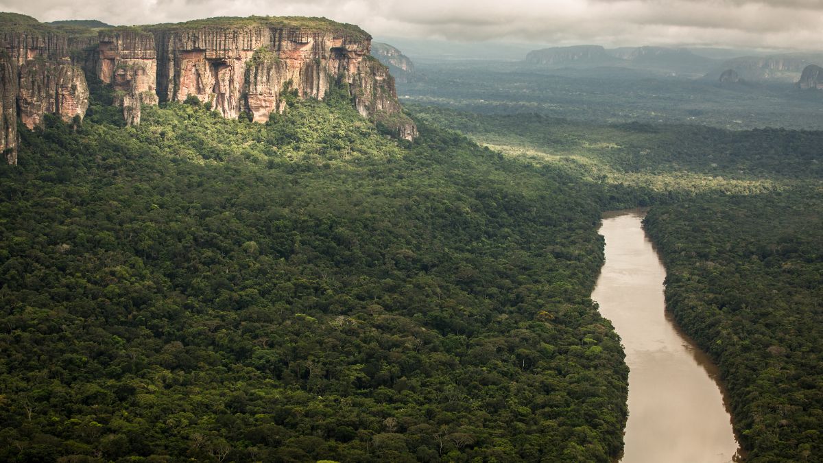 biodiversidad oportunidad competencia WWF