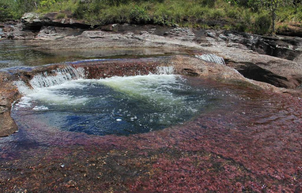  Lugares turísticos de Colombia- Caño Cristales