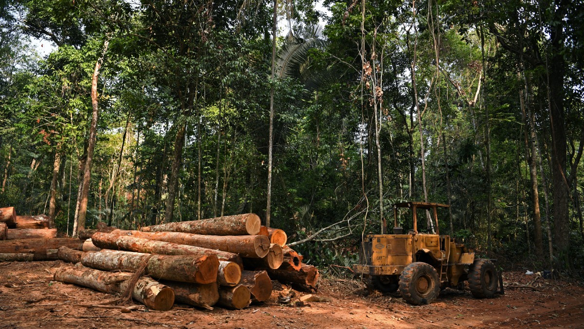 Foto: Carl De Souza / AFP