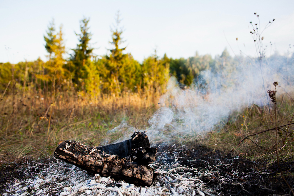 ¿Cómo prevenir incendios en temporada seca?