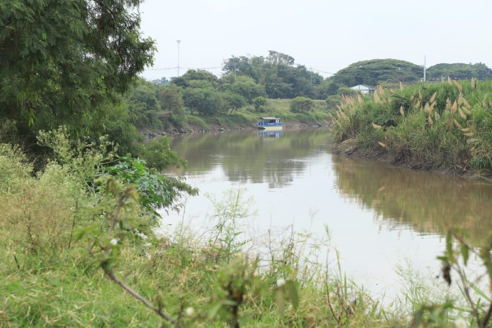 Jarillón río Cauca