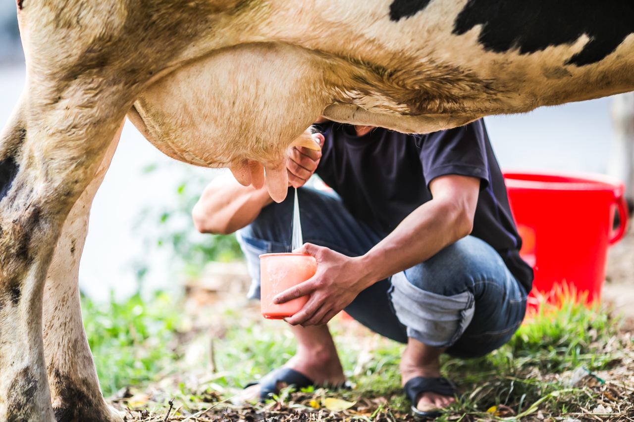 leche en colombia