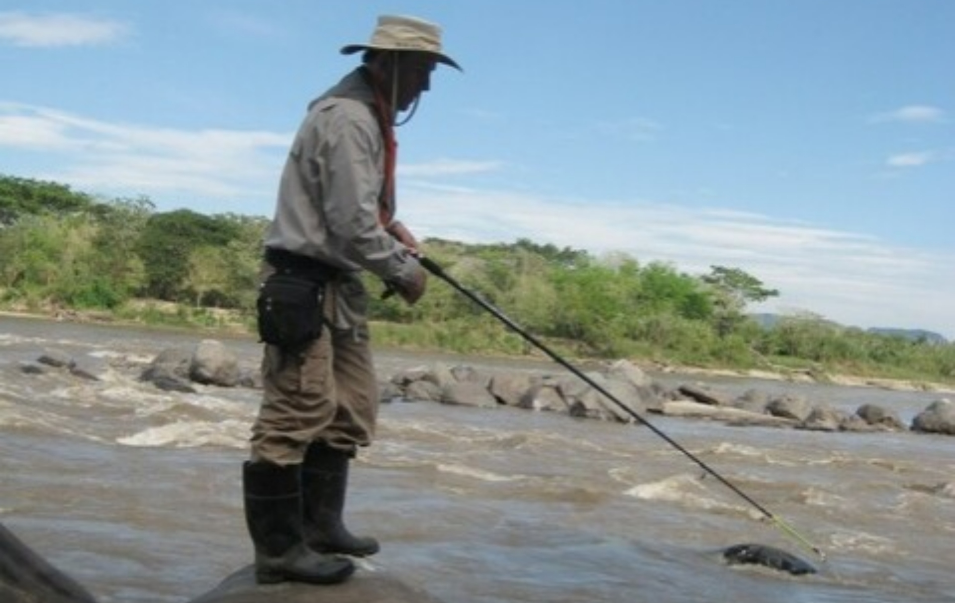 ¿Por qué la Corte prohibió la pesca deportiva en Colombia?