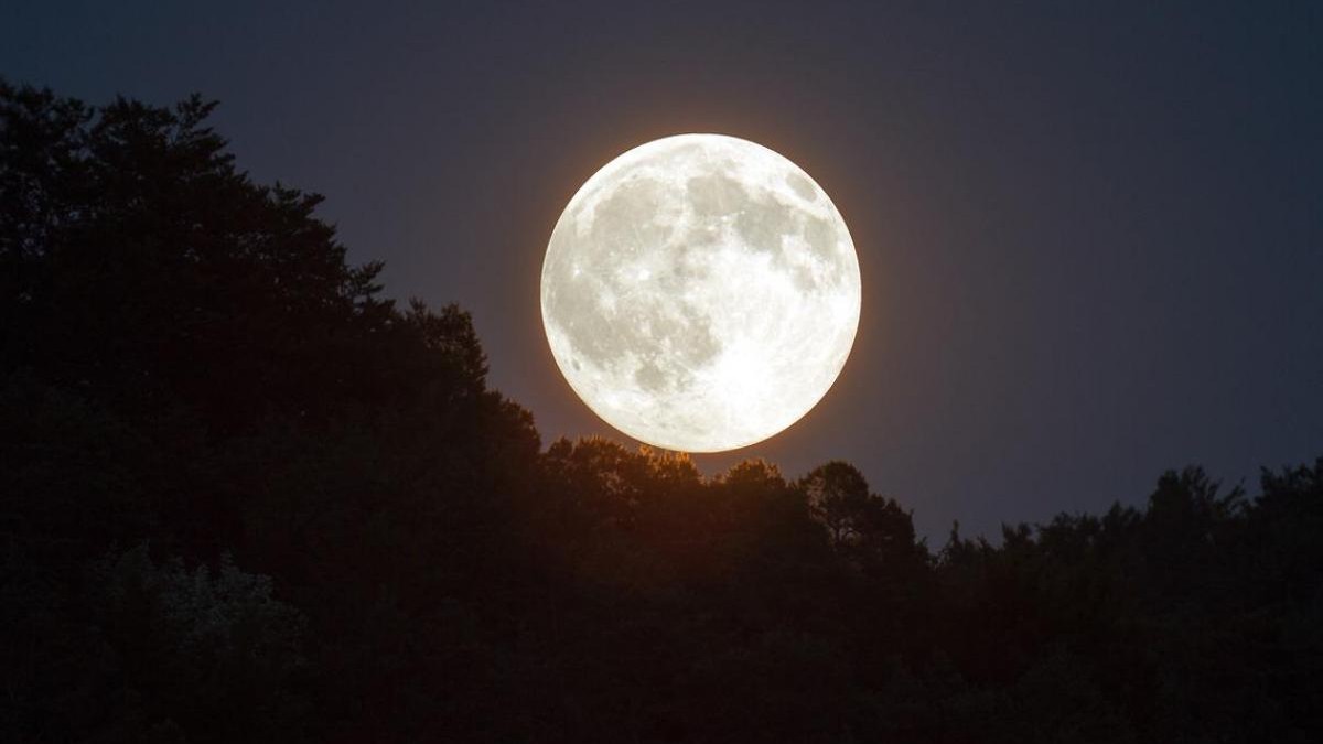 ¿Cuándo y cómo ver la Superluna de Esturión?